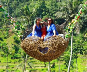 destination (2)